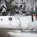 Broken tree branches block the right turn lane on W Madison St. at S 7th St. on Wednesday, Feb. 27, 2013.  Melanie Maxwell I AnnArbor.com